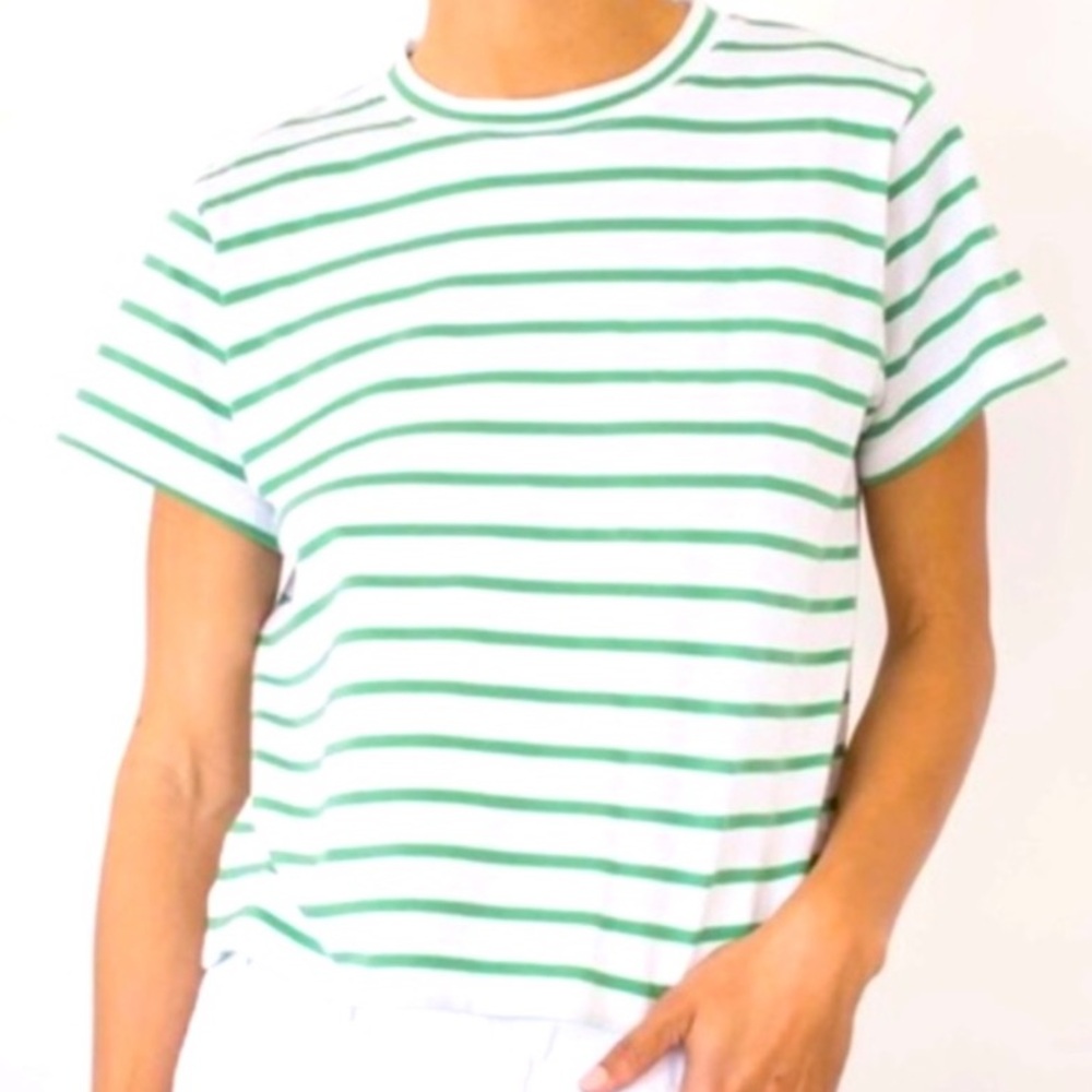 AYR The Sno Cone T-Shirt in Green and White Stripe